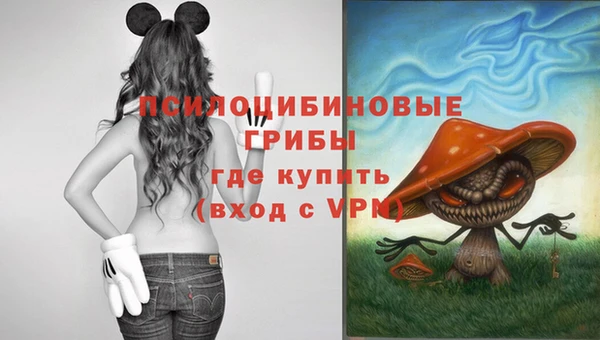 бошки Гвардейск